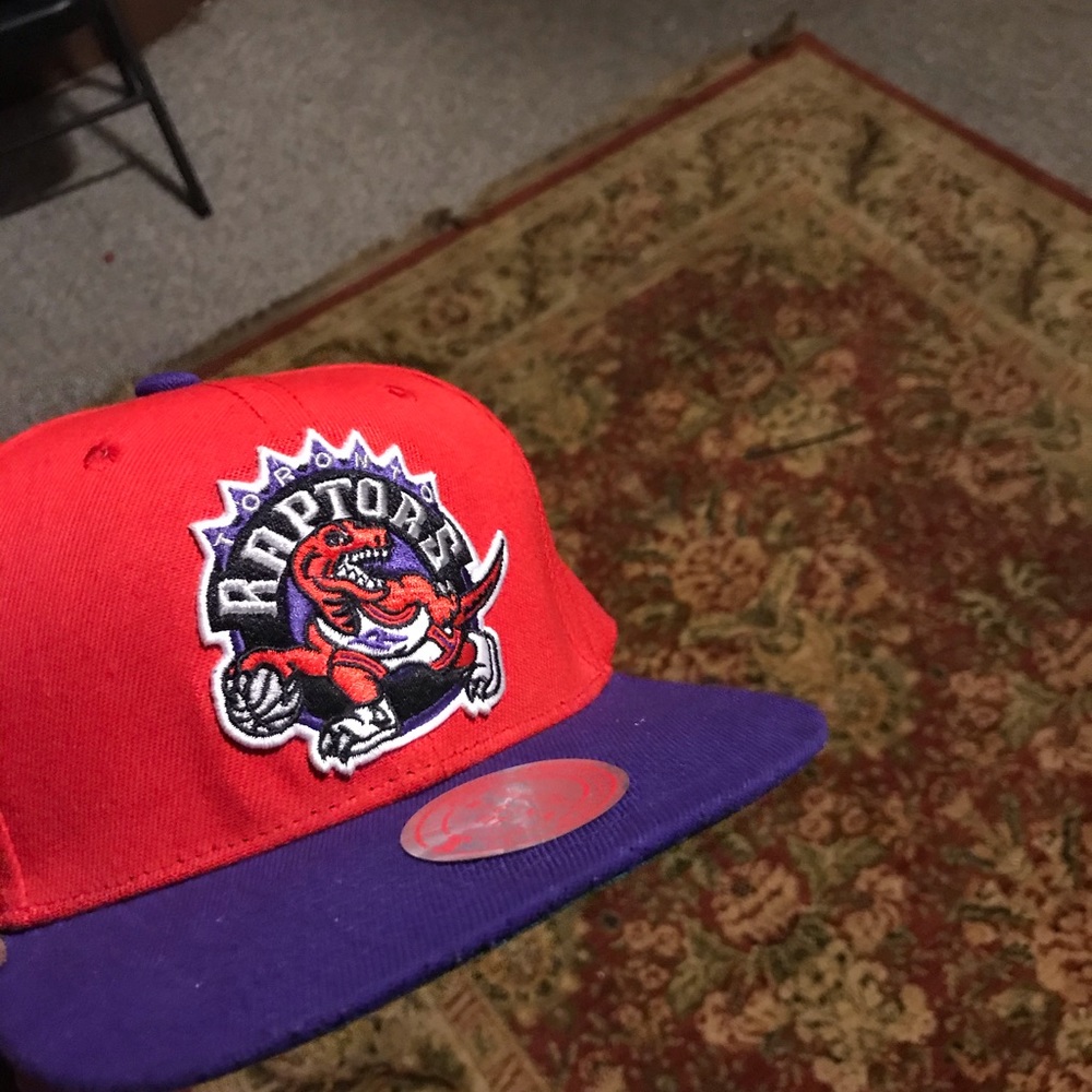 Raptors SnapBack